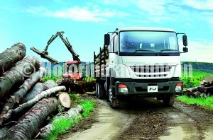 Fuso-pic-3